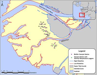 Peak Abundance of Fatty Acids From Intertidal Biofilm in Relation to the Breeding Migration of Shorebirds